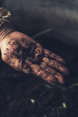 Earthworm in hand with dark background