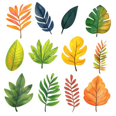 Fototapeta premium A collection of different isolated leaves and transparent background. PNG cutout.