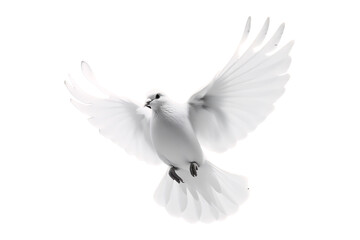 Fototapeta premium A white dove in flight, symbolizing peace and freedom, with wings spread gracefully against a clean white background with clipping path, PNG collection, PNG image, PNG files, Generative art.