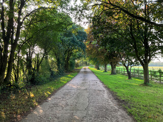 Obraz premium English country road in early autumn