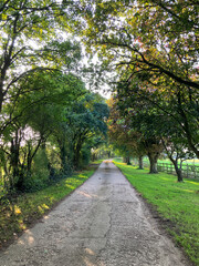 English country road in early autumn