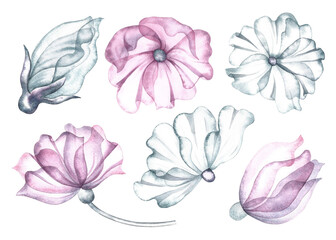 A set with delicate pink and white flowers. The transparent petals of the flower are made in watercolor. The illustrations are made by hand. For the design of invitations, greeting cards.