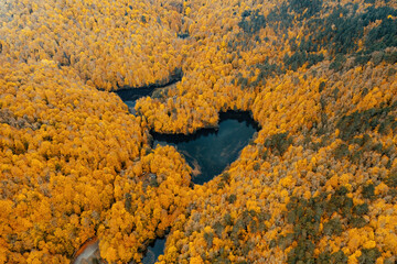 Yedigoller National Park. A naturally occurring lake among yellowed trees in autumn. The landscape was photographed with a drone. Bolu, Turkey.