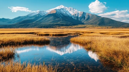A serene landscape featuring a mountain, reflecting water, and golden grasslands under a blue sky.