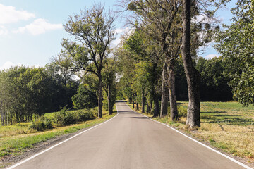 Obraz premium Asphalt road through field, meadow and forest. Beautiful summer landscape with trees along the roadside. Concept of a journey into the unknown. Scenic countryside background.