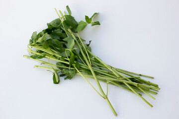 Distinguished by its citrusy scent and flavor, lemon basil (Ocimum basilicum citriodorum) adds brightness to dishes.