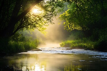 Sunrise over a calm river flowing through a lush green forest