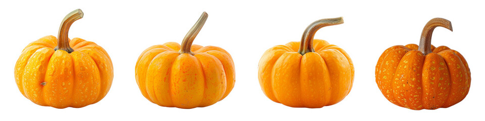 Set of small orange pumpkins isolated on a transparent background.