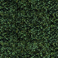 Lush green foliage texture with leaves arranged in a chaotic pattern.