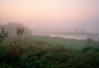 Fototapeta premium Foggy dawn on the field near the lake.