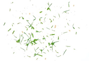 freshly cut grass with visible grass clippings on a pristine white surface, demonstrating texture and color differences create with ai