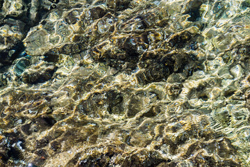 The texture of sea water. Light reflexes on water.
