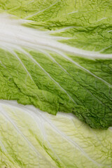 Napa Cabbage has been cultivated in China for over 1600 years and accounts for a major fraction of the total vegetable consumption in certain (northern) areas of the country.