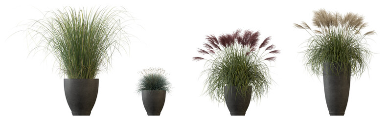 Plants in pots 3d render isolated png on a transparent background premium cutout  © Roman