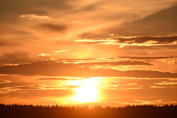 The setting sun on the background of the forest horizon.