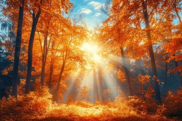 Obraz premium Sun shining through fog and colorful trees in beautiful autumn forest landscape