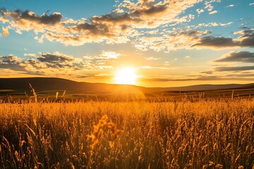 Fototapeta premium Golden Sunset Over Field of Tall Grass