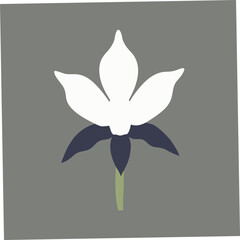 This digital product showcases a stunning vector illustration of the Gold of Kinabalu Orchid flower, capturing its exotic beauty and intricate details, perfect for nature-themed or floral designs