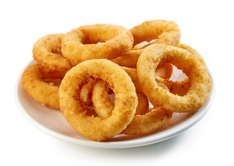 fried onion rings