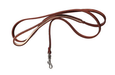 Brown leather dog leash isolated on white