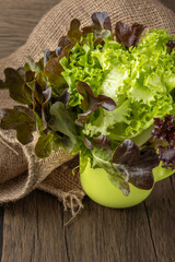 Fresh organic three color lettuce salad plants in ceramic green cup pot on wooden table background.