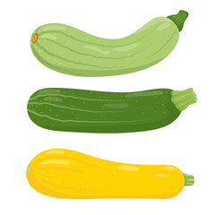 Set of different sorts of Zucchini. Green and yellow types of farm zucchini plant icons. Organic garden vegetarian food. Vector illustration isolated on white background.