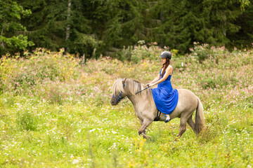 Lady in blue dress riding on Icelandic horse in tall hay. Rider is wearing helmet.