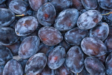 Fresh plums background. Top view. Organic food.