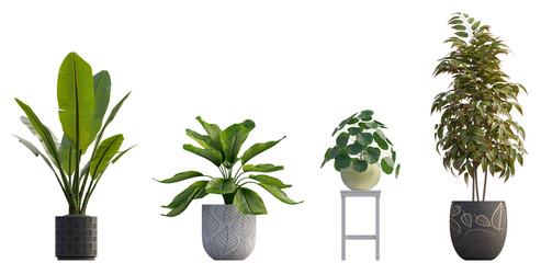 Fototapeta premium Collection of plants in pots 3d render isolated png on a transparent background perfectly cutout 