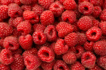 Tasty fresh raspberry as a background.