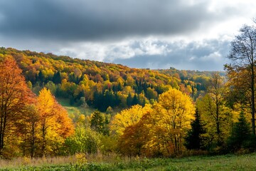 Panoramic view of autumn forest with colorful foliage and dramatic clouds