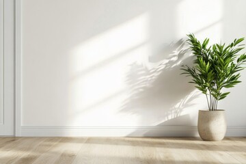 Bright indoor corner with a potted plant near a window casting soft shadows in the afternoon light