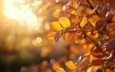 Autumn with leaves background