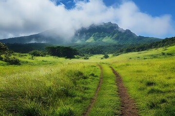 Obraz premium Dirt road leading to mountain peak with cloudy sky in green grass meadow landscape