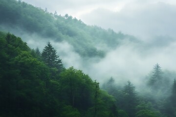 Misty mountain landscape with lush green trees and fog, nature background