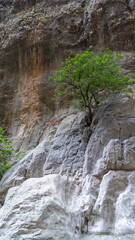 Deepest narrow stone canyon Saklikent in national park in Mugla Province in southwestern Turkey. Wild natural beauty. Vertical image