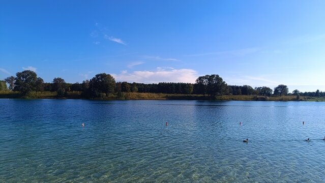 lake in the park