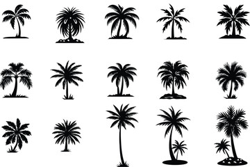 set of palm trees