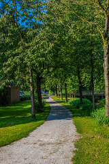 alley in the park