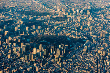 Aerial view of Tokyo's Imperial Gardens at sunrise in winter