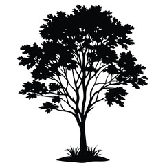 Obraz premium a black and white silhouette of a tree. The tree is tall and slender with a thick trunk and multiple branches. The branches are covered in small leaves, 