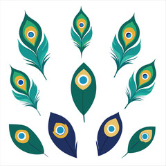 pattern with peacock feathers