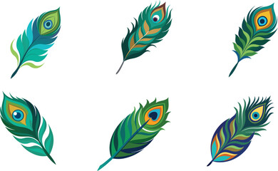 set of colorful feathers vector