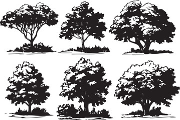 Set Trees. Hand drawn vector illustration	