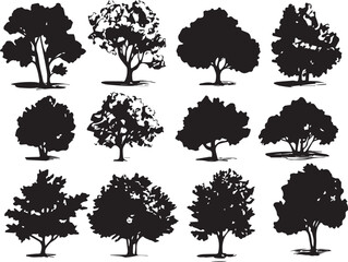 Set Trees. Hand drawn vector illustration	