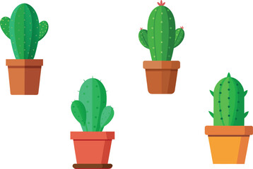 cactus in a pot