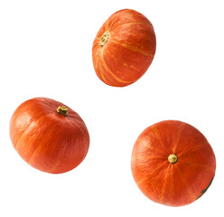 Fresh pumkin falling in the air isolated on white backgroun