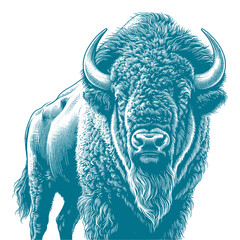 bison vector illustration