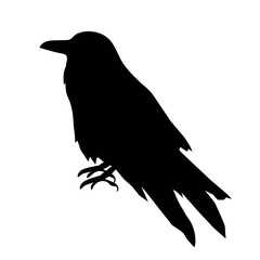 Black silhouette of a raven or crow bird . Vector illustration , icon .Mystical black bird