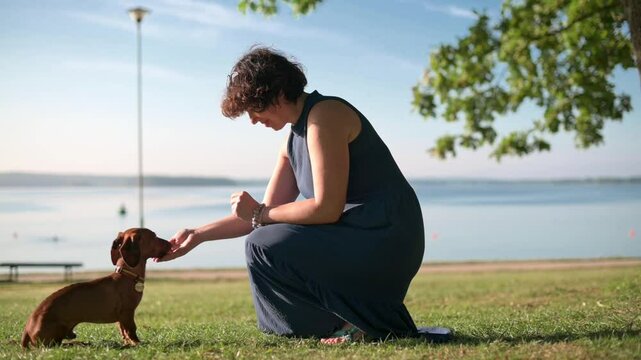 A woman interacts with her dachshund by the lakeside, enjoying a sunny day outdoors. Ideal for pet-related, lifestyle, and outdoor-themed content. High quality 4k footage
